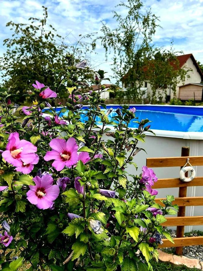 Le Heron Pourpre B&B Gastronomique Cronat Esterno foto