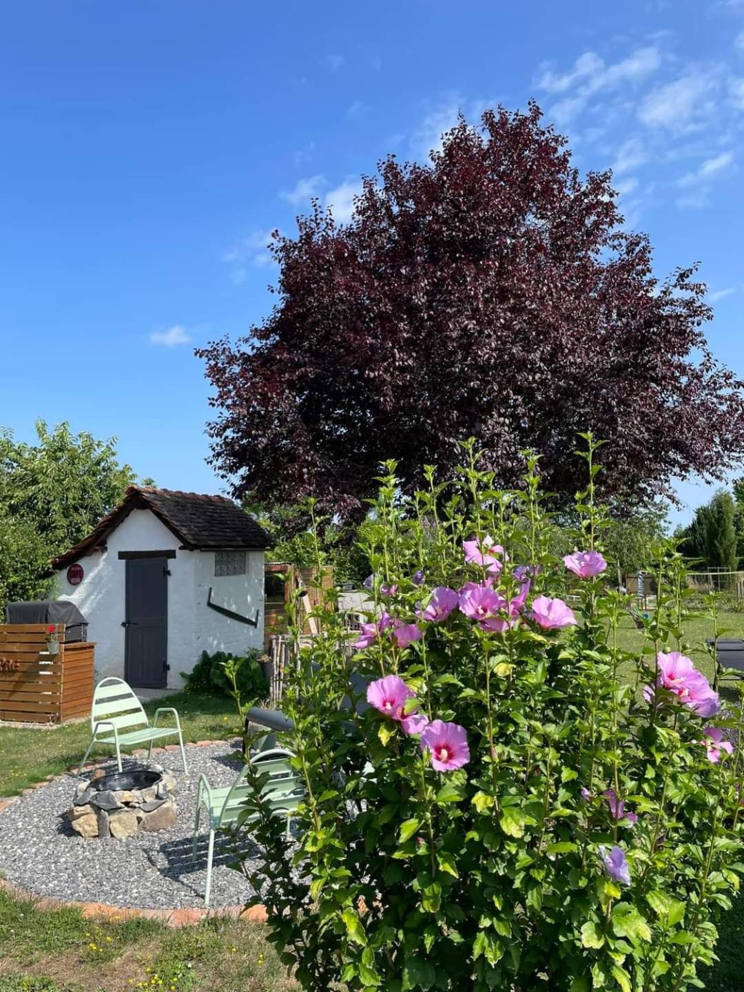 Le Heron Pourpre B&B Gastronomique Cronat Esterno foto